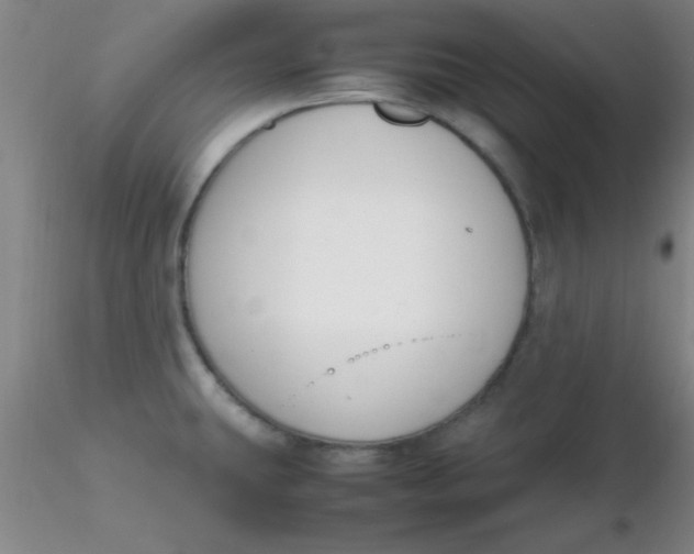 X0000116291431200912211831