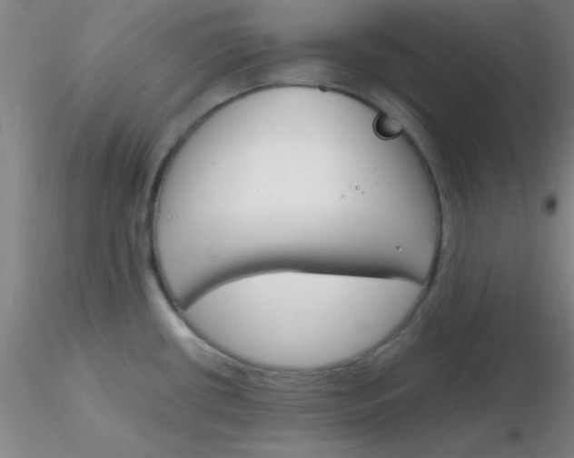 X0000116291434200912211831