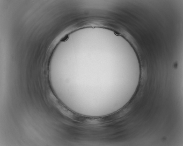 X0000116291435200912211831