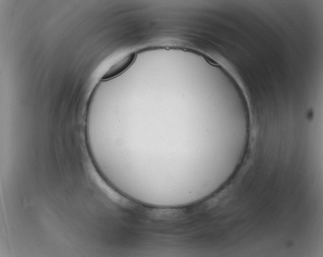 X0000116291437200912211831