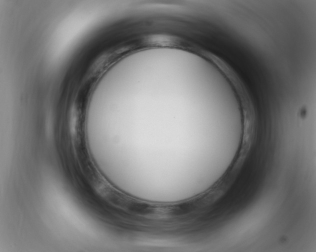 X0000116291438200912211831