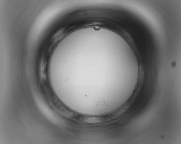 X0000116291439200912211831