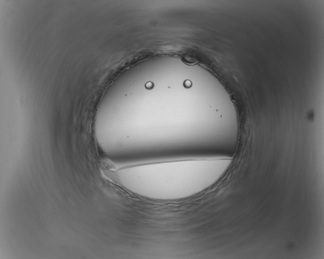 X0000116291441200912211831