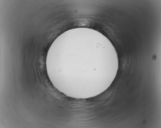 X0000116291442200912211831