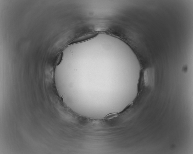 X0000116291443200912211831