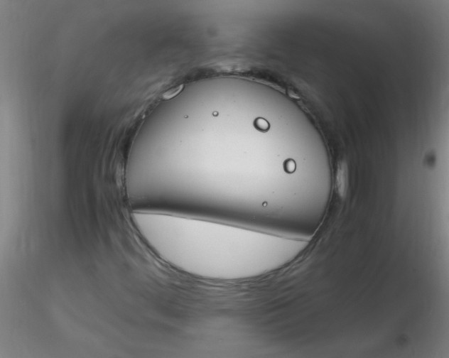 X0000116291444200912211831