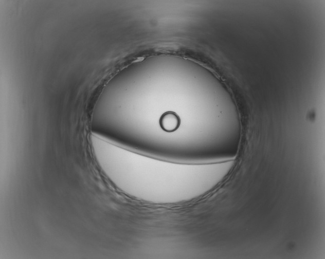 X0000116291445200912211831