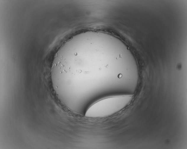 X0000116291447200912211831