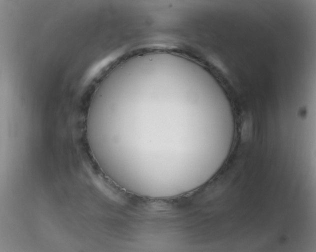 X0000116291448200912211830