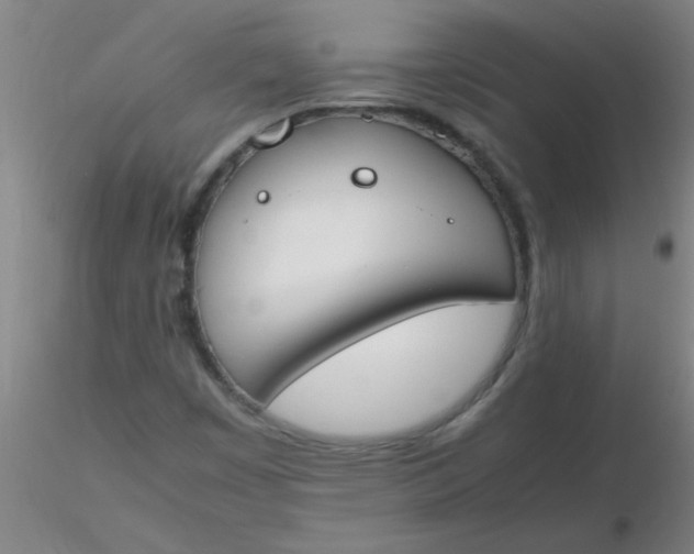 X0000116291449200912211830