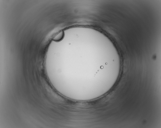 X0000116291451200912211830