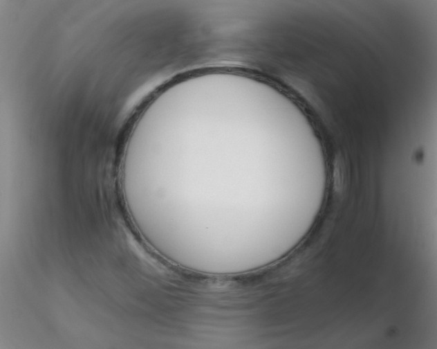 X0000116291452200912211830