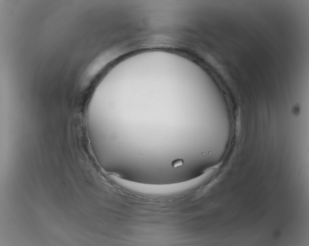 X0000116291453200912211830