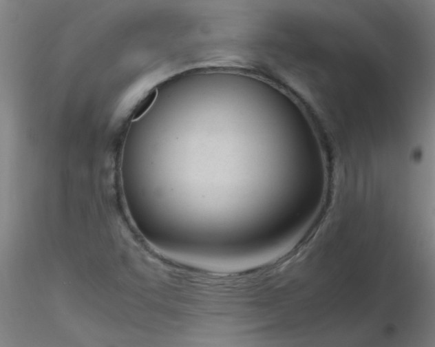 X0000116291455200912211830