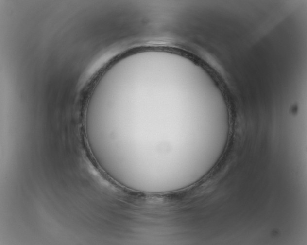 X0000116291456200912211830