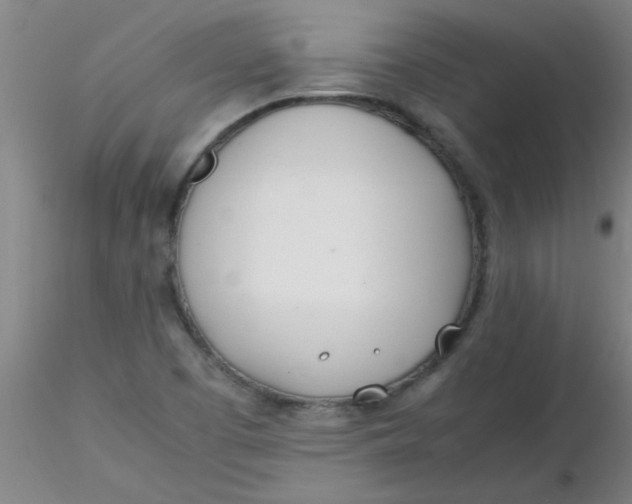 X0000116291457200912211830