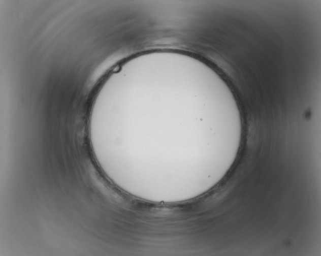 X0000116291458200912211830