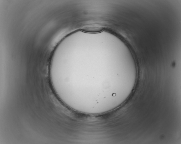 X0000116291459200912211830