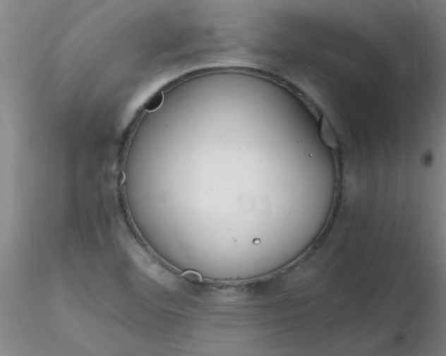 X0000116291460200912211830