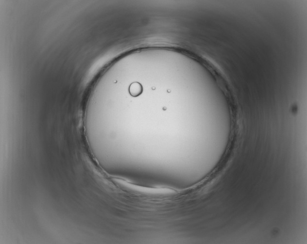 X0000116291461200912211830