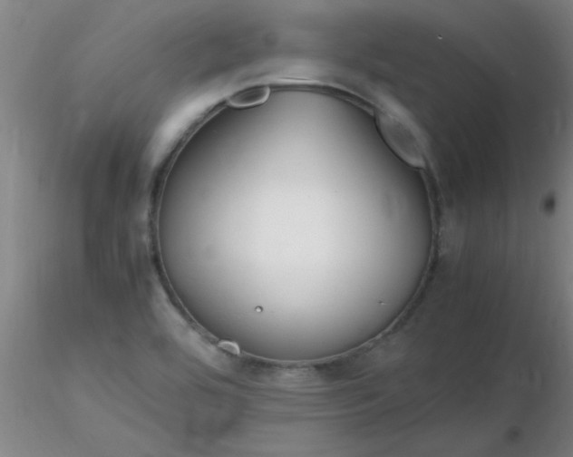 X0000116291464200912211830