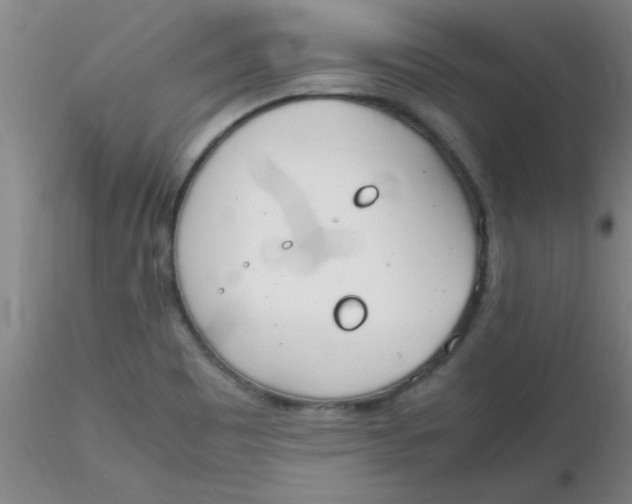 X0000116291465200912211830