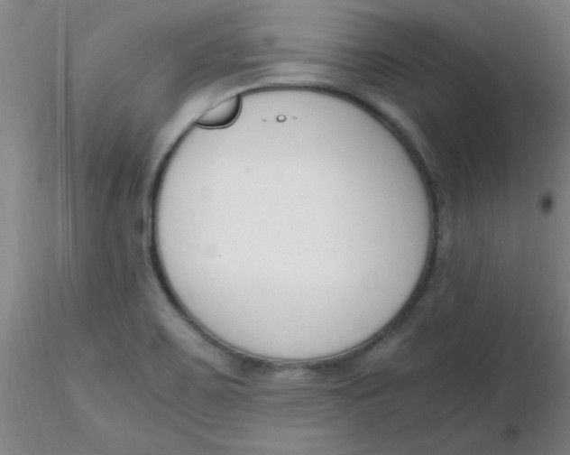 X0000116291467200912211830