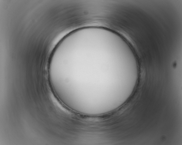 X0000116291468200912211830