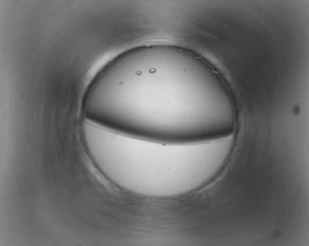 X0000116291469200912211830