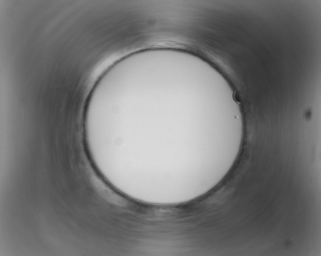 X0000116291471200912211830