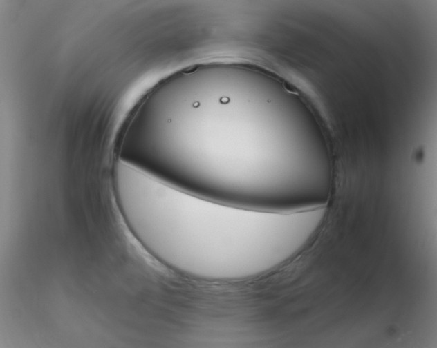 X0000116291472200912211830