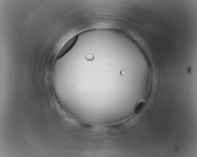 X0000116291473200912211830