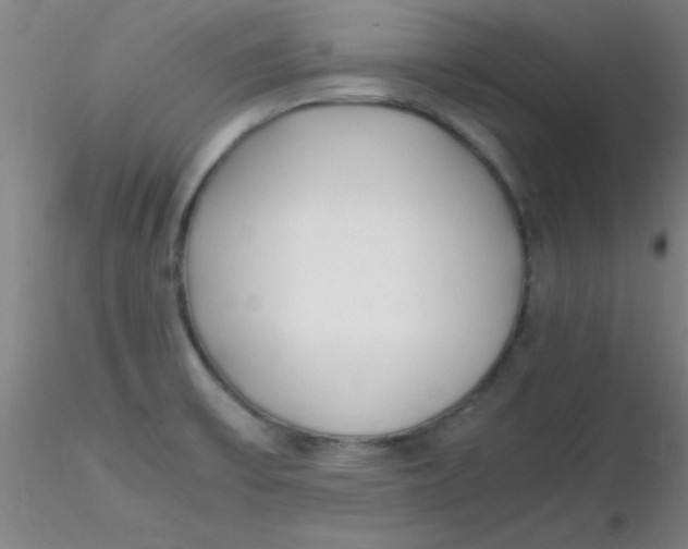 X0000116291475200912211830