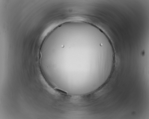 X0000116291477200912211830