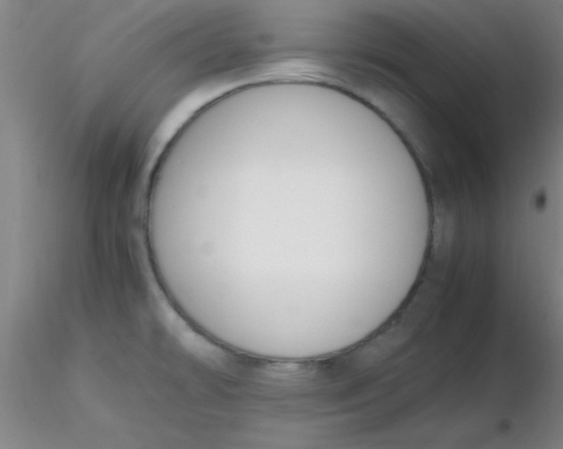 X0000116291478200912211830