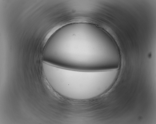 X0000116291481200912211830