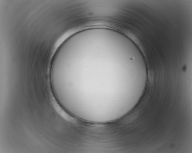 X0000116291482200912211830