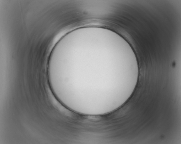 X0000116291483200912211830