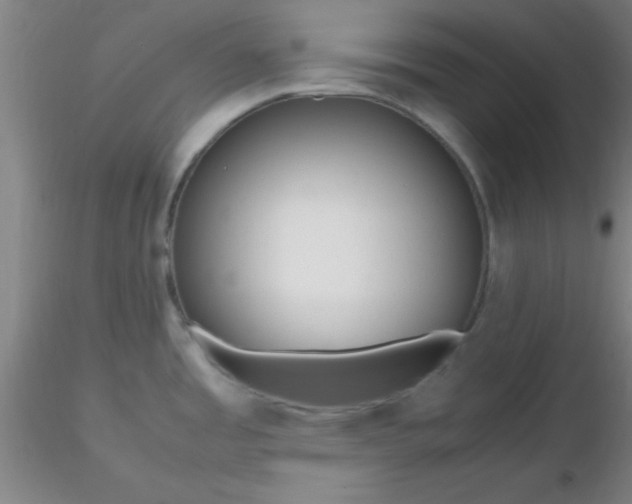 X0000116291485200912211830