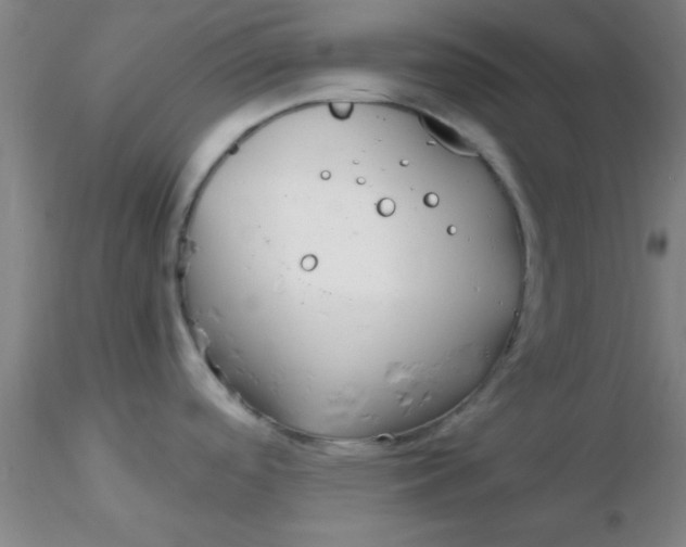 X0000116291488200912211830