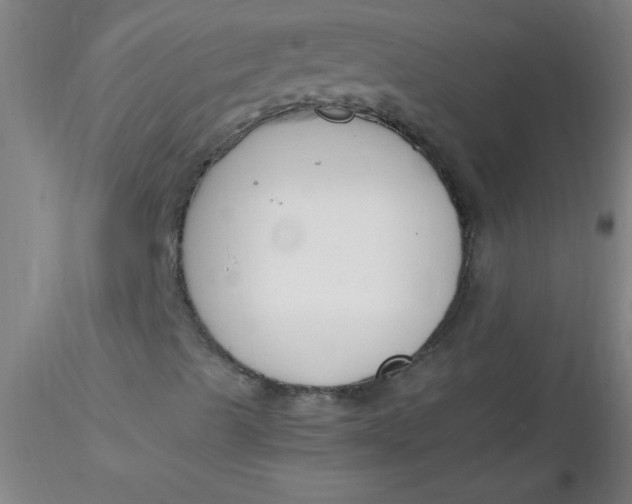 X0000116291489200912211829