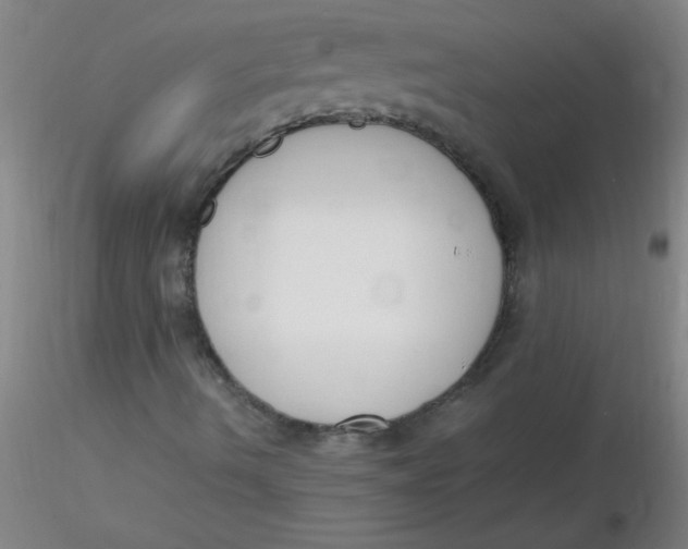 X0000116291490200912211829