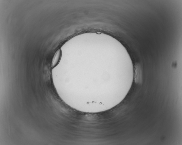 X0000116291491200912211829