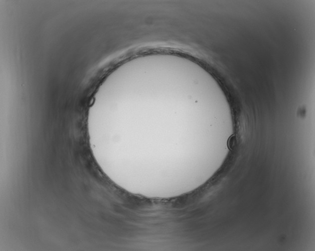 X0000116291494200912211829