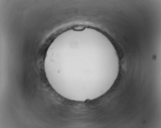 X0000116291495200912211829