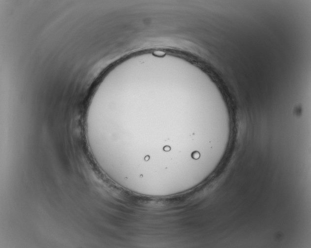 X0000116291497200912211829