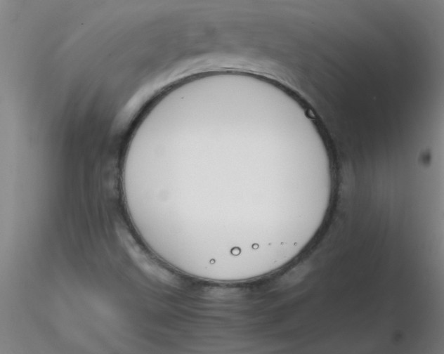 X0000116291499200912211829