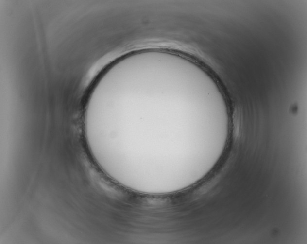 X0000116291501200912211829