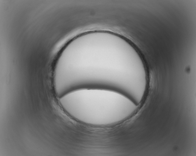 X0000116291502200912211829