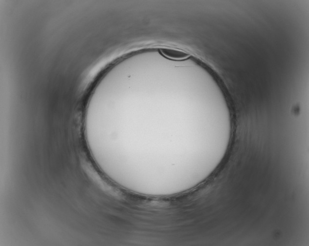 X0000116291503200912211829